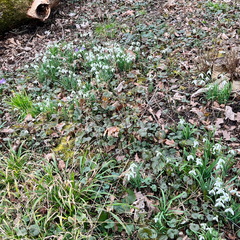 23-02-18 15-10-53 4265